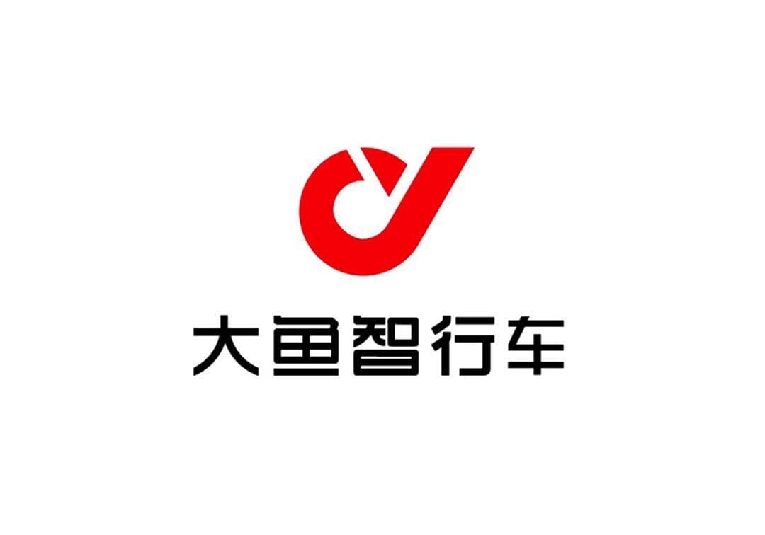大鱼智行车
